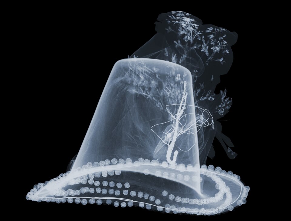 X-ray showing skeleton of the starling. Photography by Nick Veasey, 2016