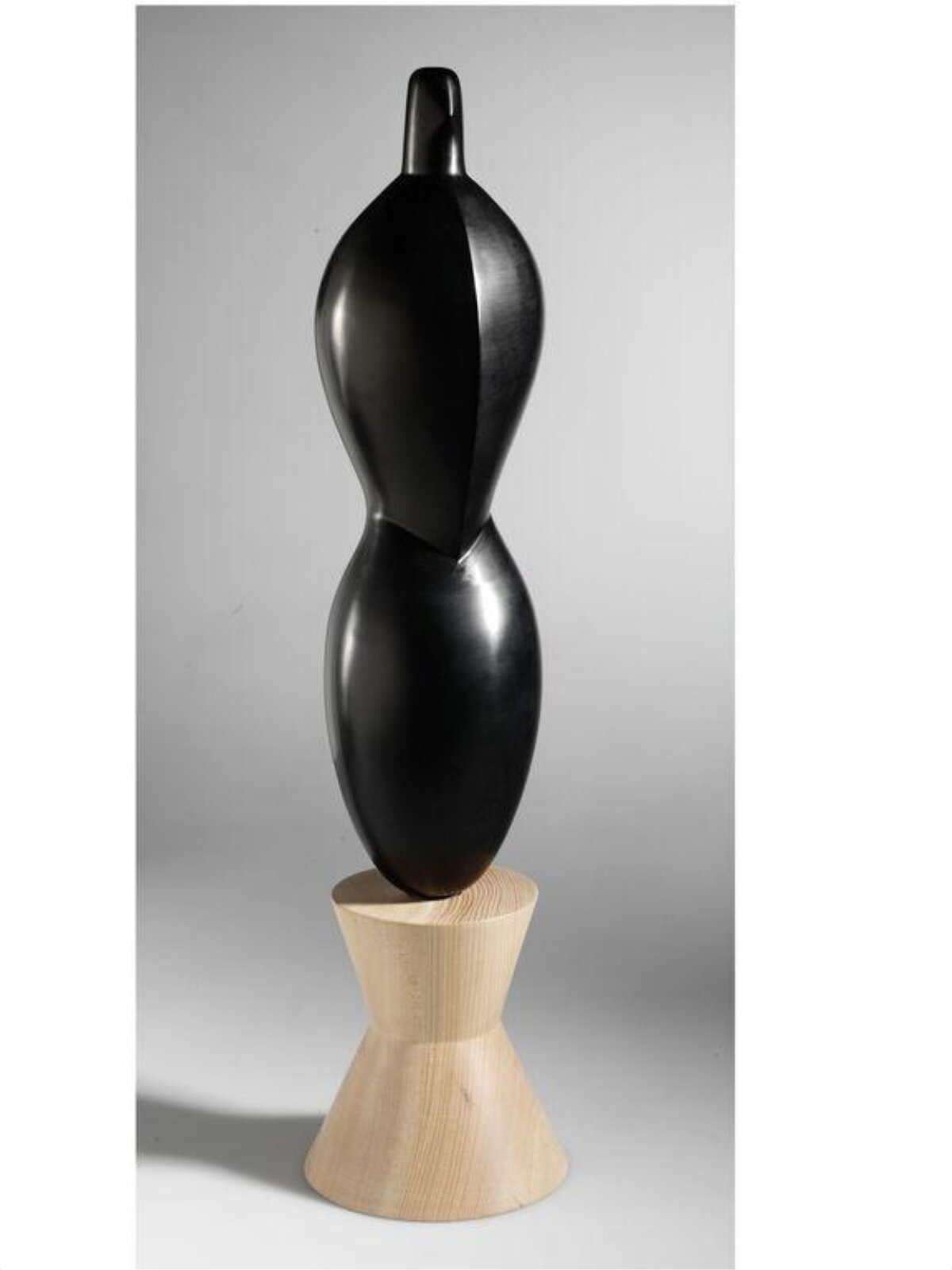 Crisaliforme, Cristiano Bianchin, 2004