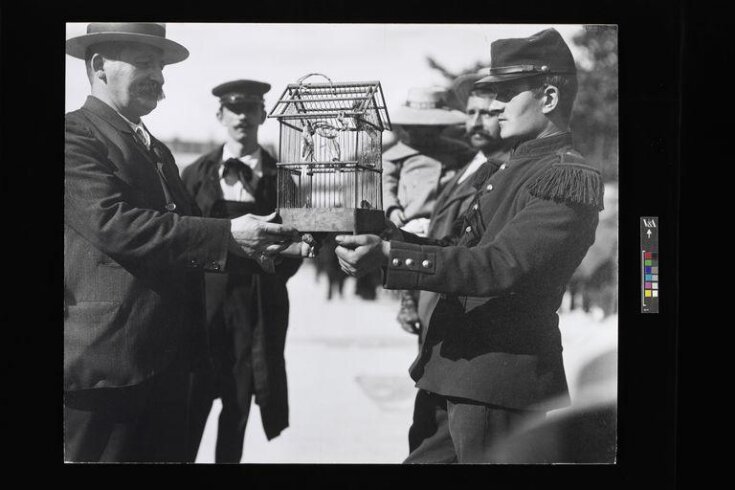 Two Men with a Birdcage top image
