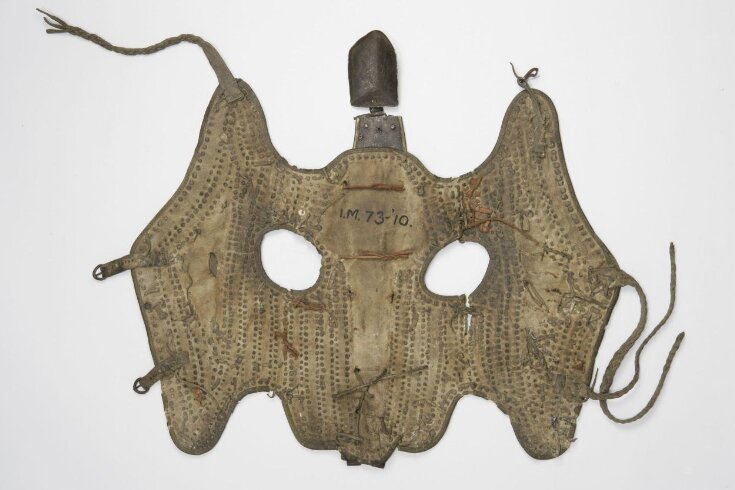 Horse Armour top image