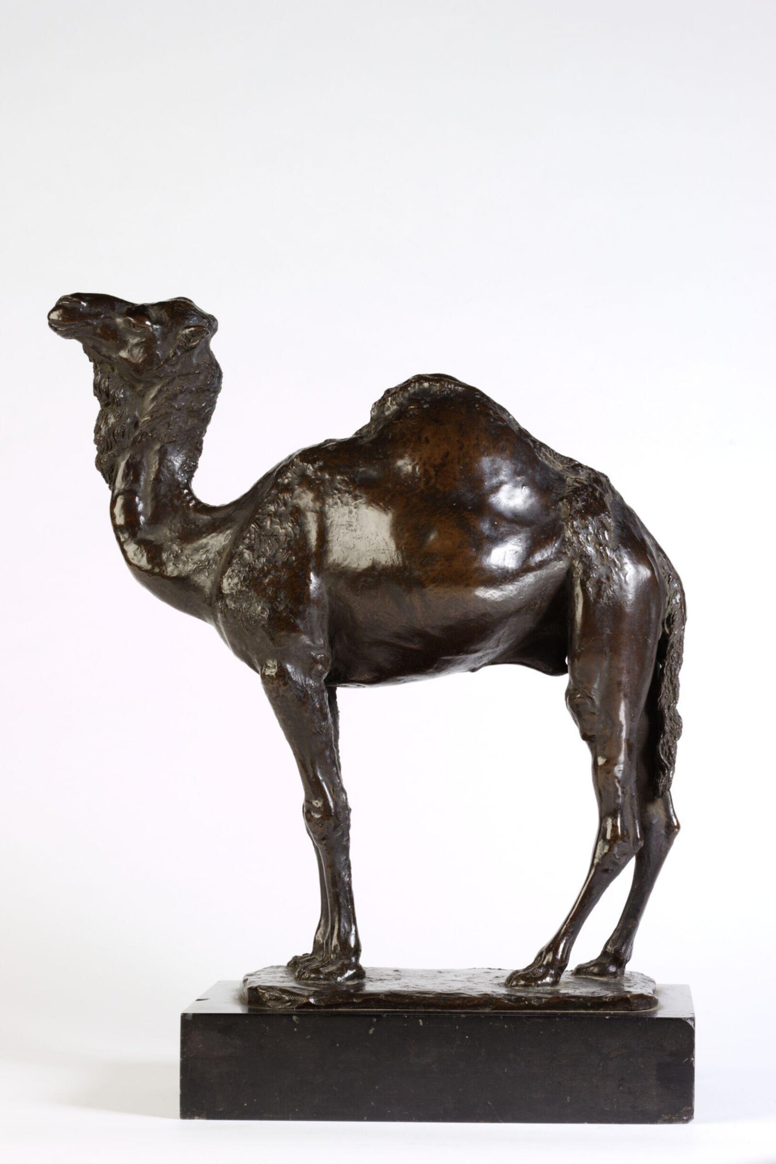 Camel, Edward Onslow Ford, ca. 1890-1895