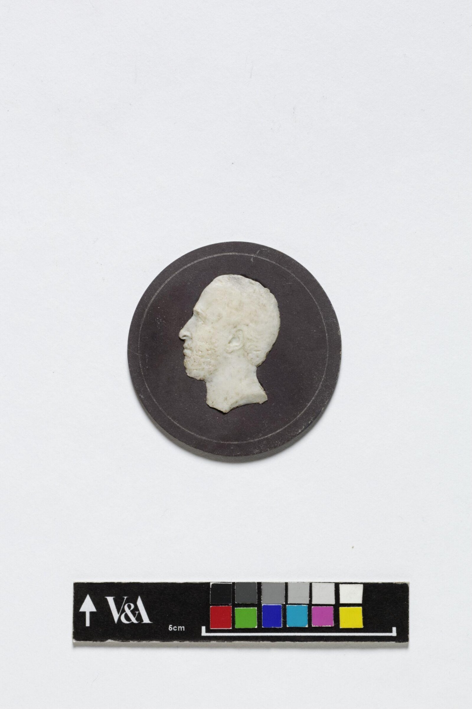 Acclimatisation Society of Great Britain, George Gammon Adams, ca. 1867