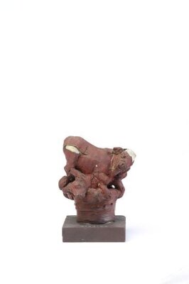 A Baited Bull, 1st half 16th century