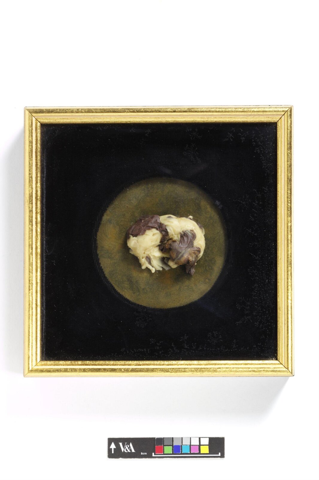 A Dog, Catherine Andras, 19th century