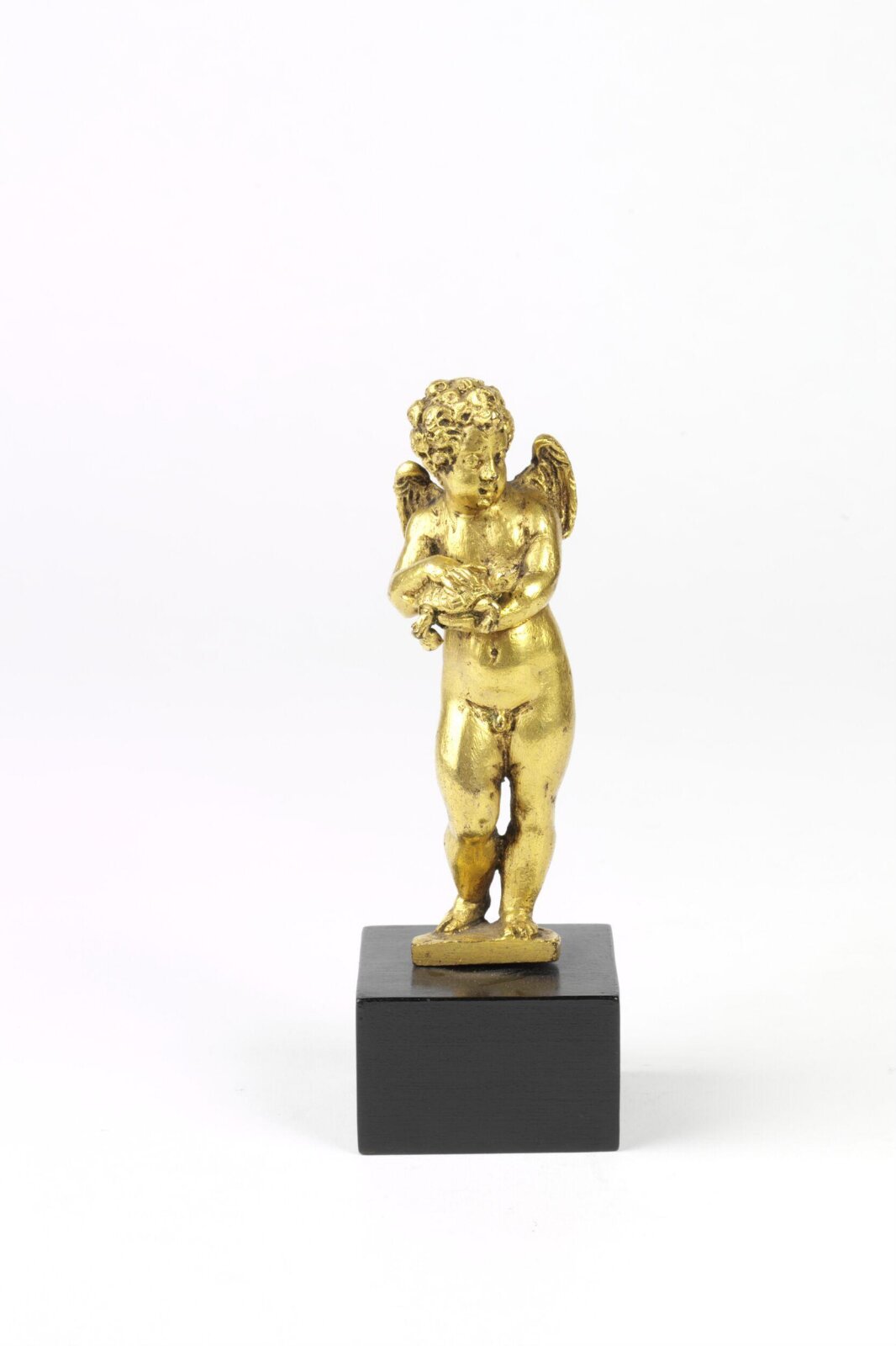 Cupid holding a tortoise, late 16th century
