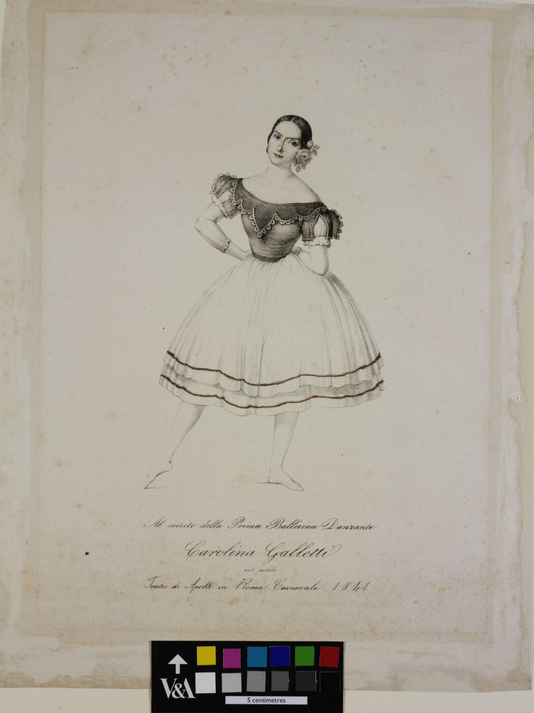 Unknown, Carolina Galletti