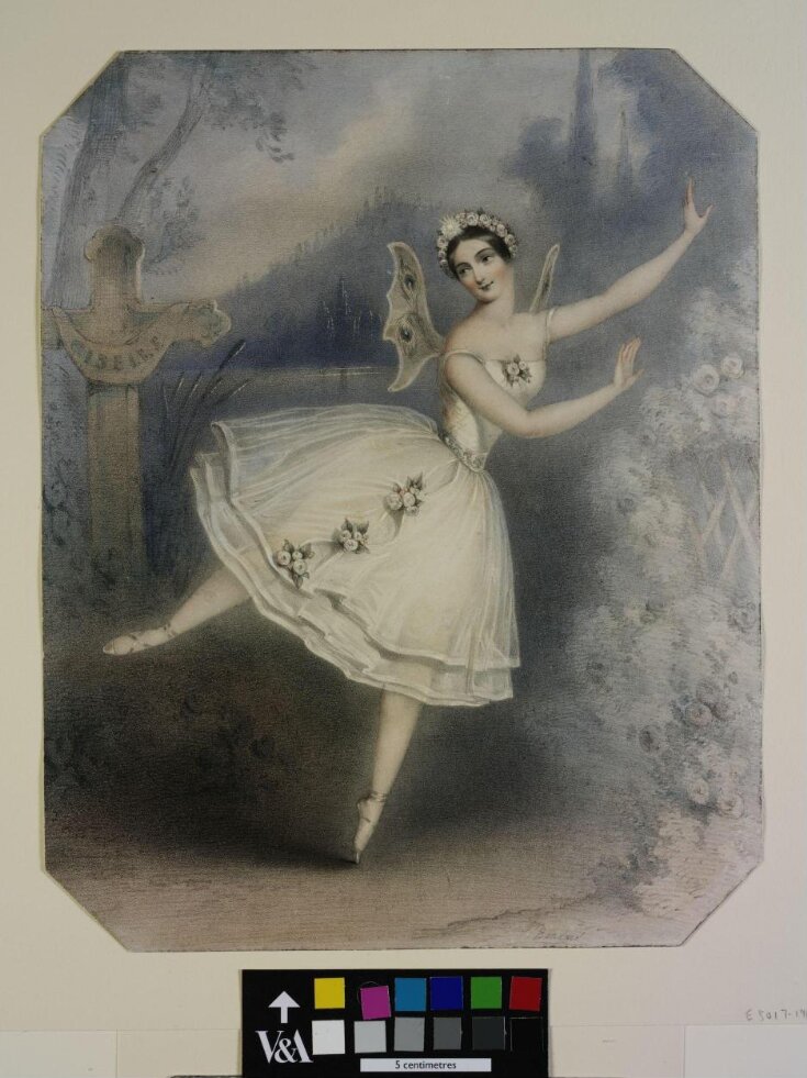 Carlotta Grisi (facsimile signature) / in the favorite (sic) ballet of / Giselle; ou Les Wilis top image