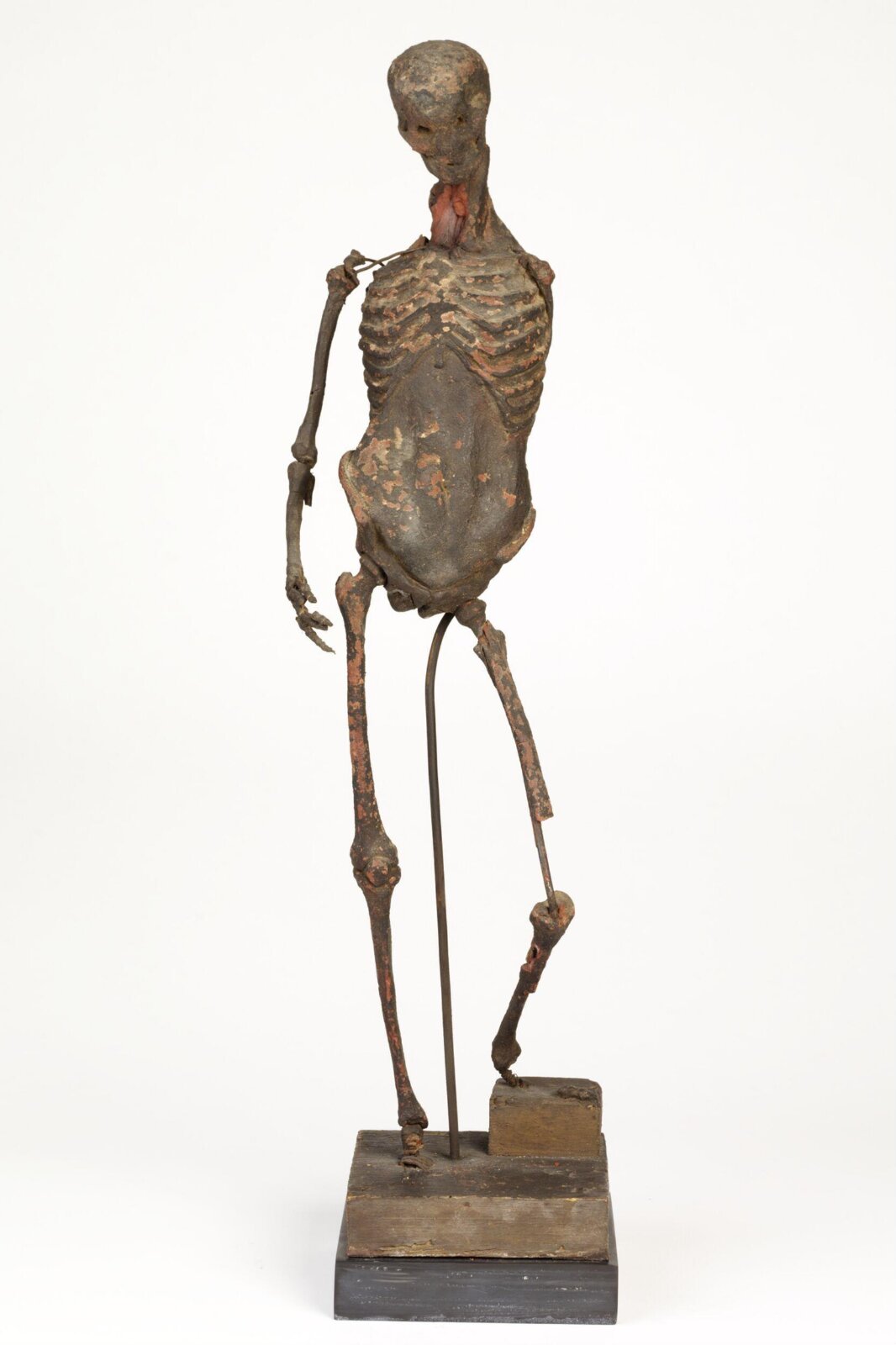 Anatomical figure, ca. 1550-1600