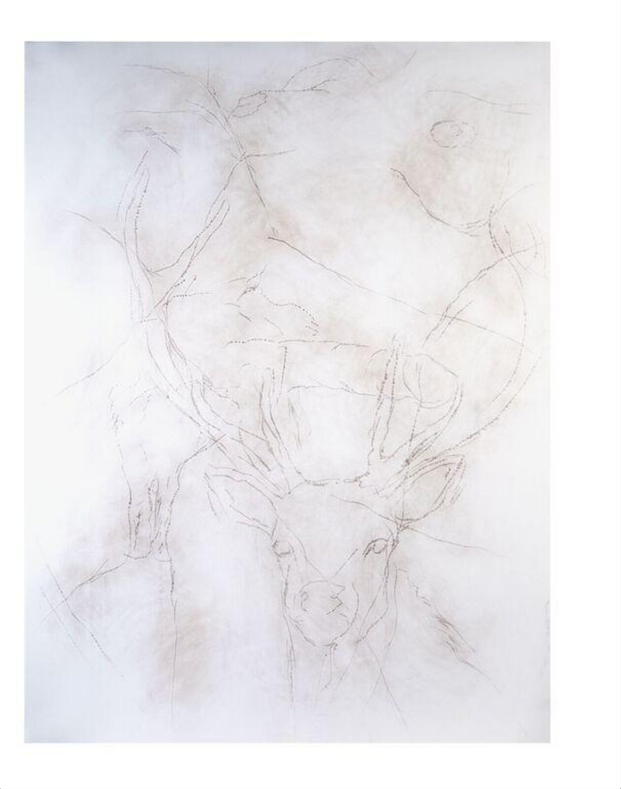 Untitled, Kerry Trengove, 1981