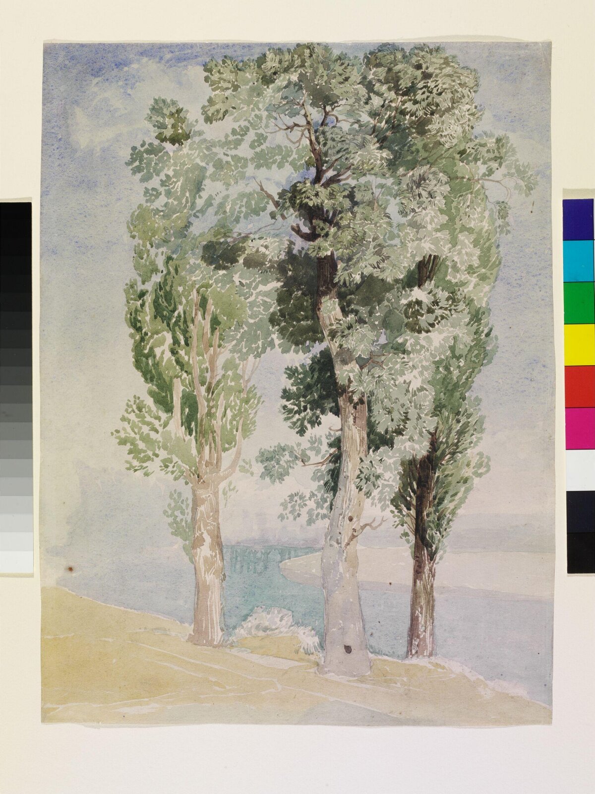 A Study of Trees, John Sell Cotman, ca. 1800-1842