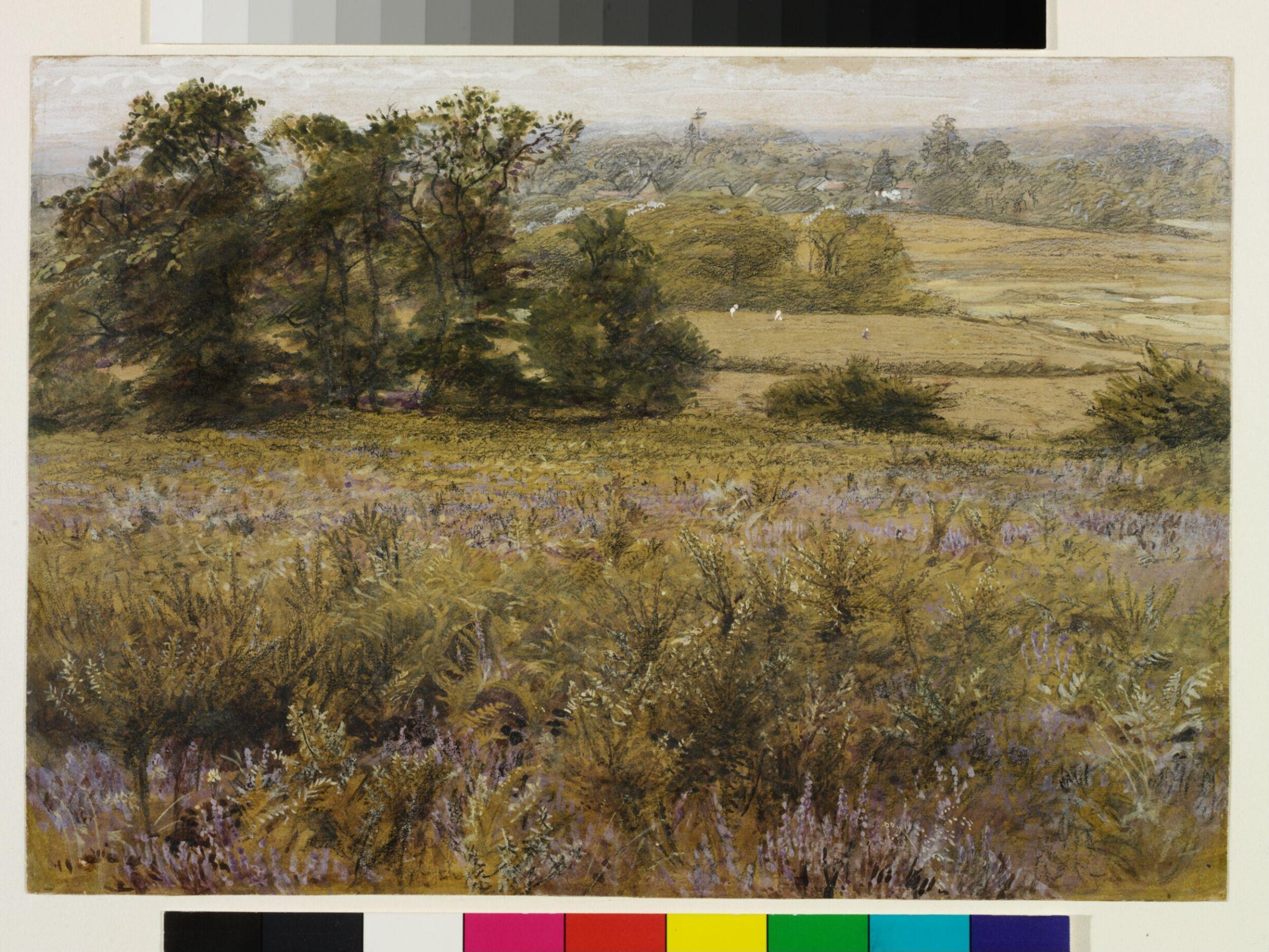 The Furze Field, Samuel Palmer, mid 19th century