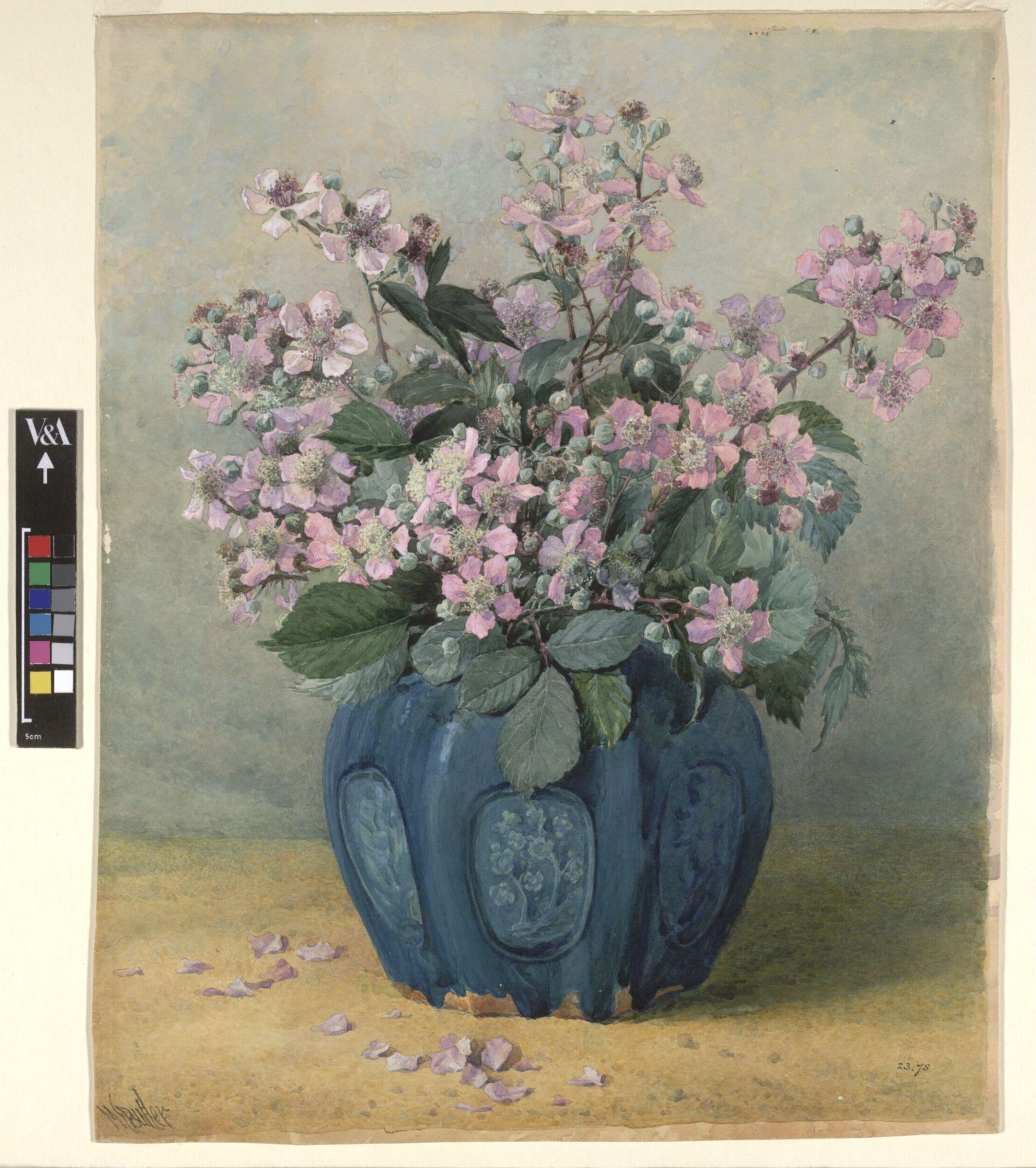 Blackberry Blossom, Mary E. Butler, ca. 1867-1912