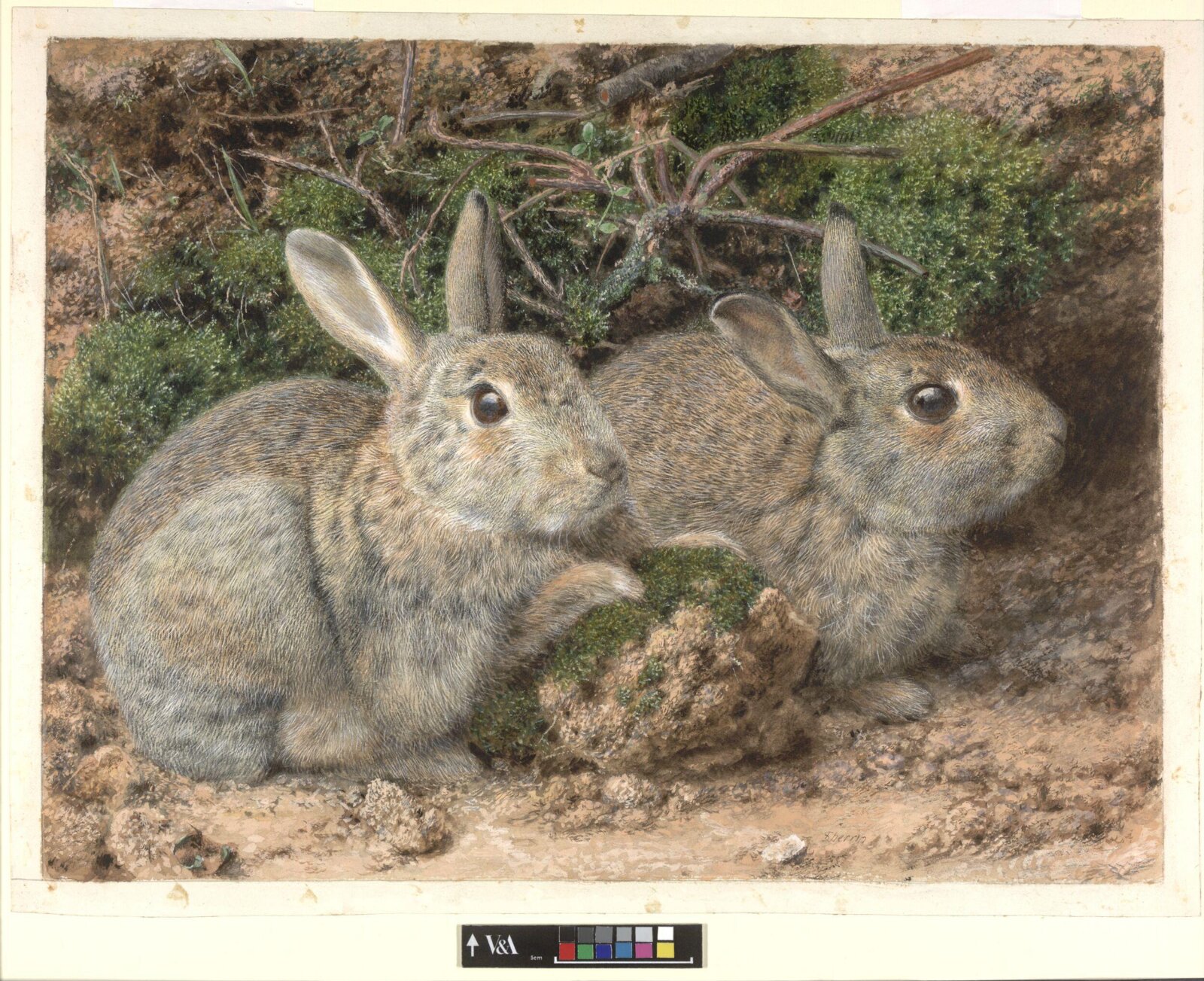 Watercolour, 1819-1896