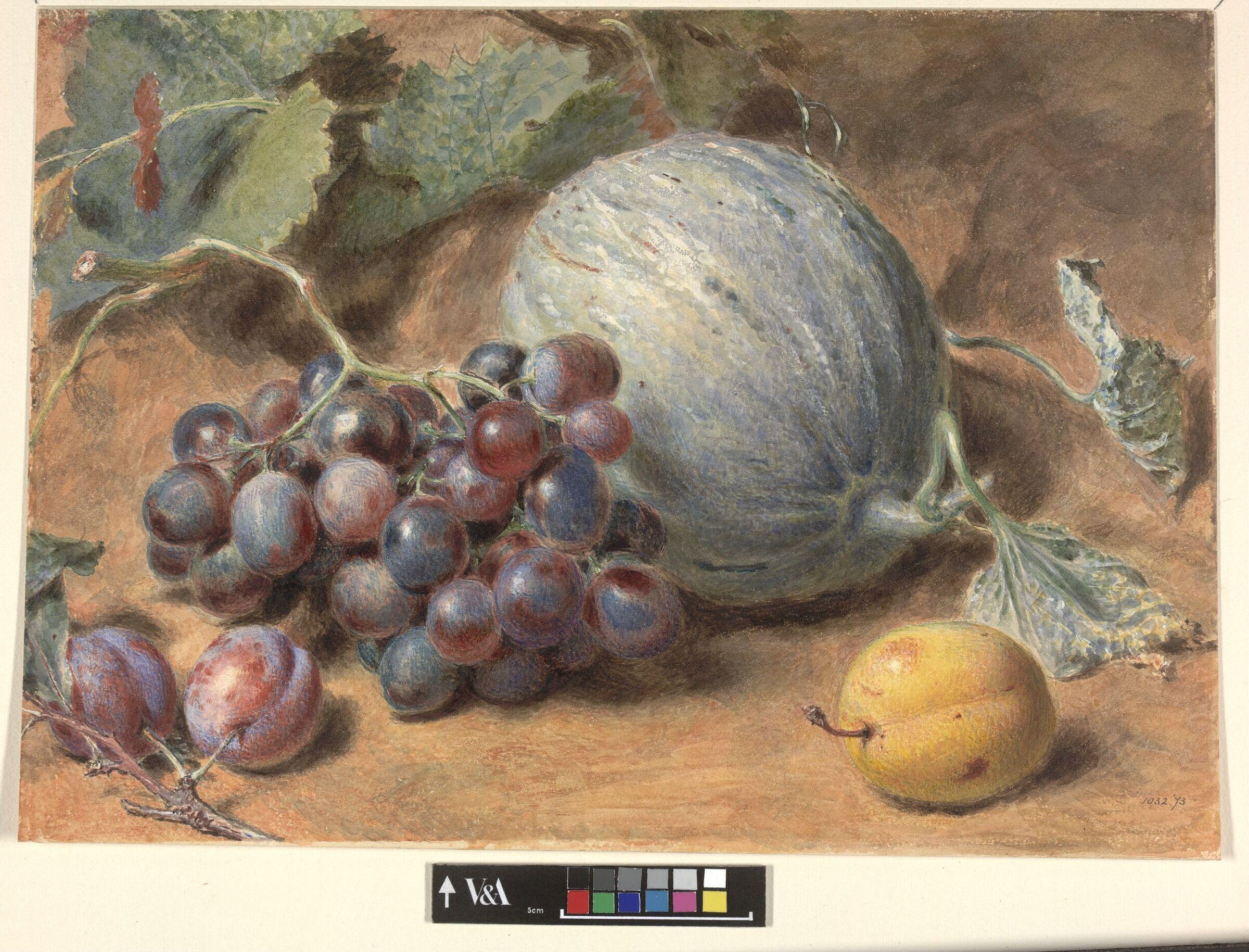 Grapes, a Melon and Plums, Henry Hunt, ca. 1815-1864
