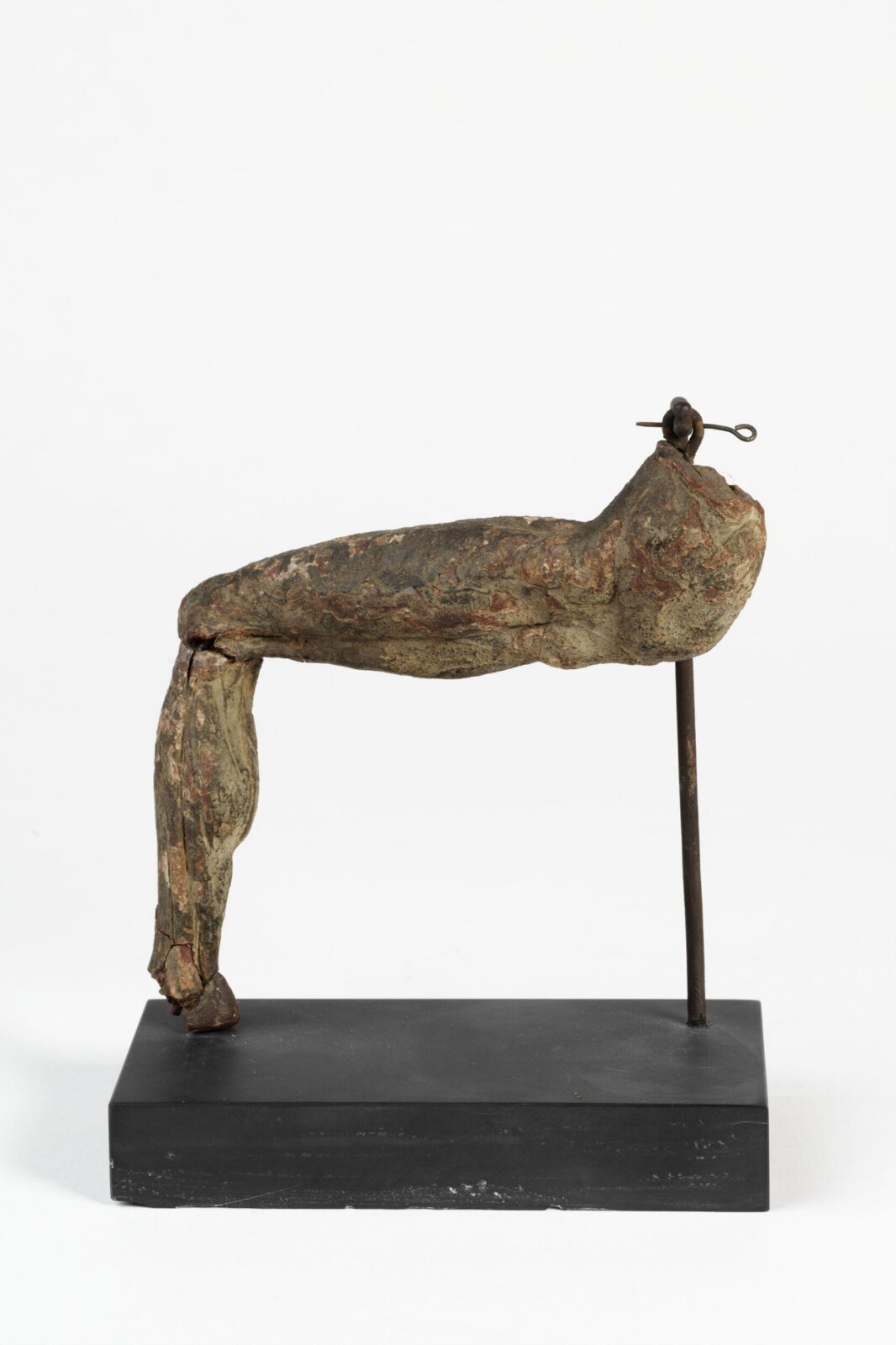 Left Leg Écorgé, ca. 1550-ca. 1600