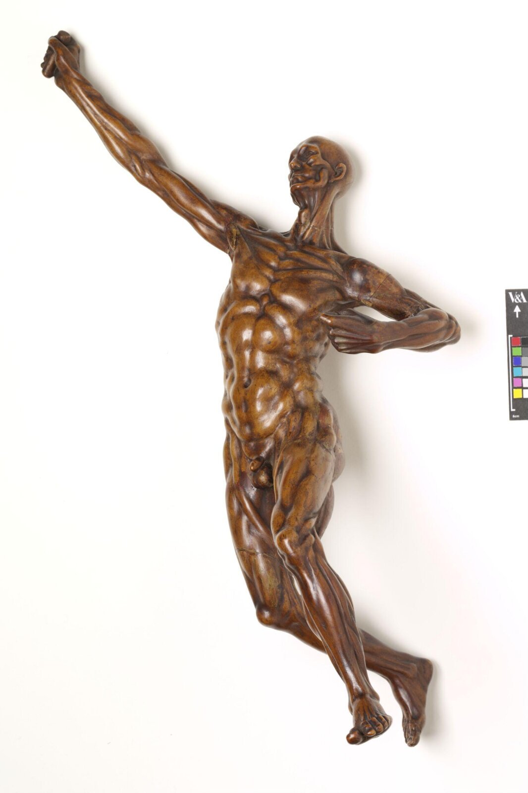 Anatomical figure, ca. 1750