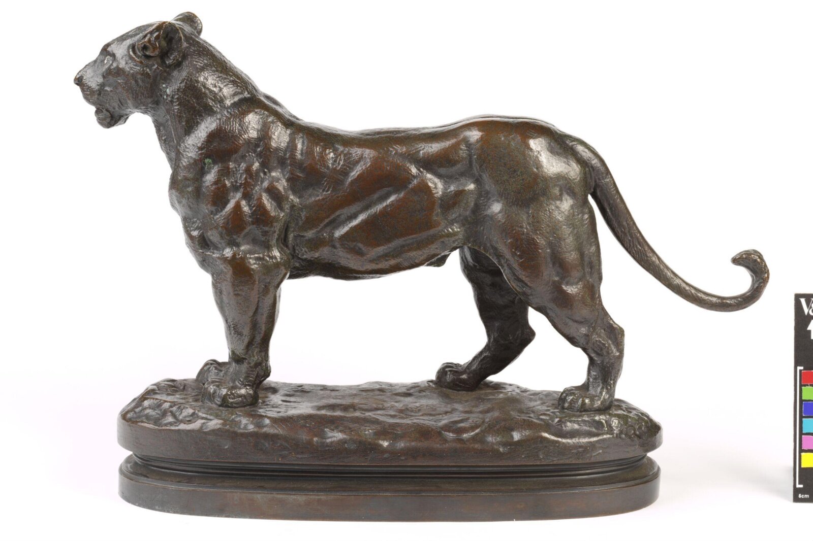 Standing lioness, Antoine-Louis Barye, 1890