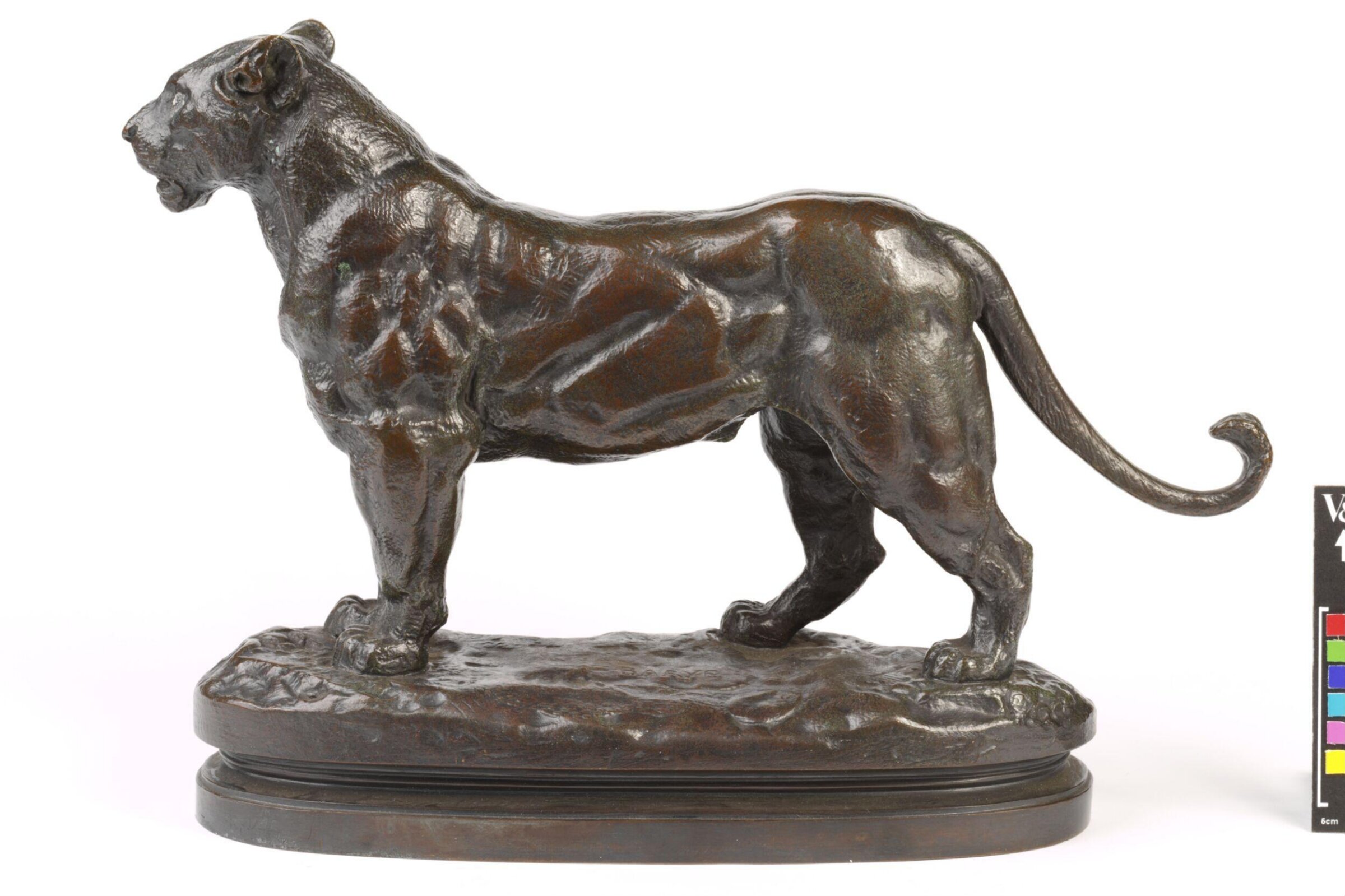 Standing lioness, Antoine-Louis Barye, 1890