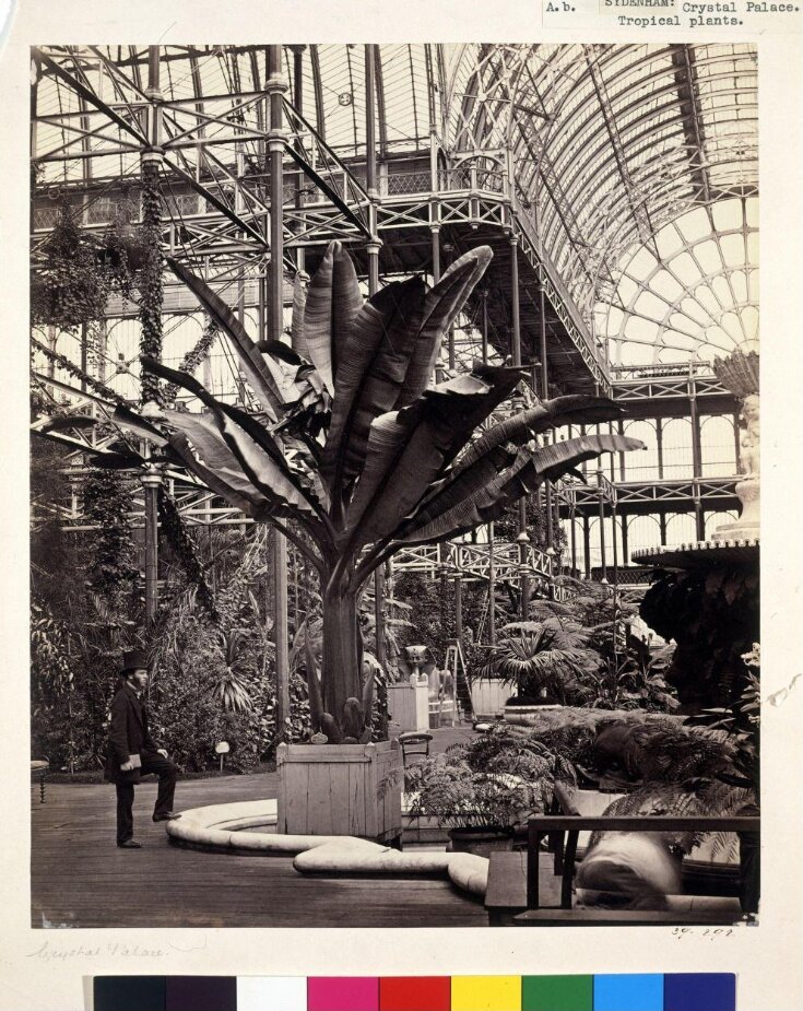 Interior of Crystal Palace, Sydenham top image