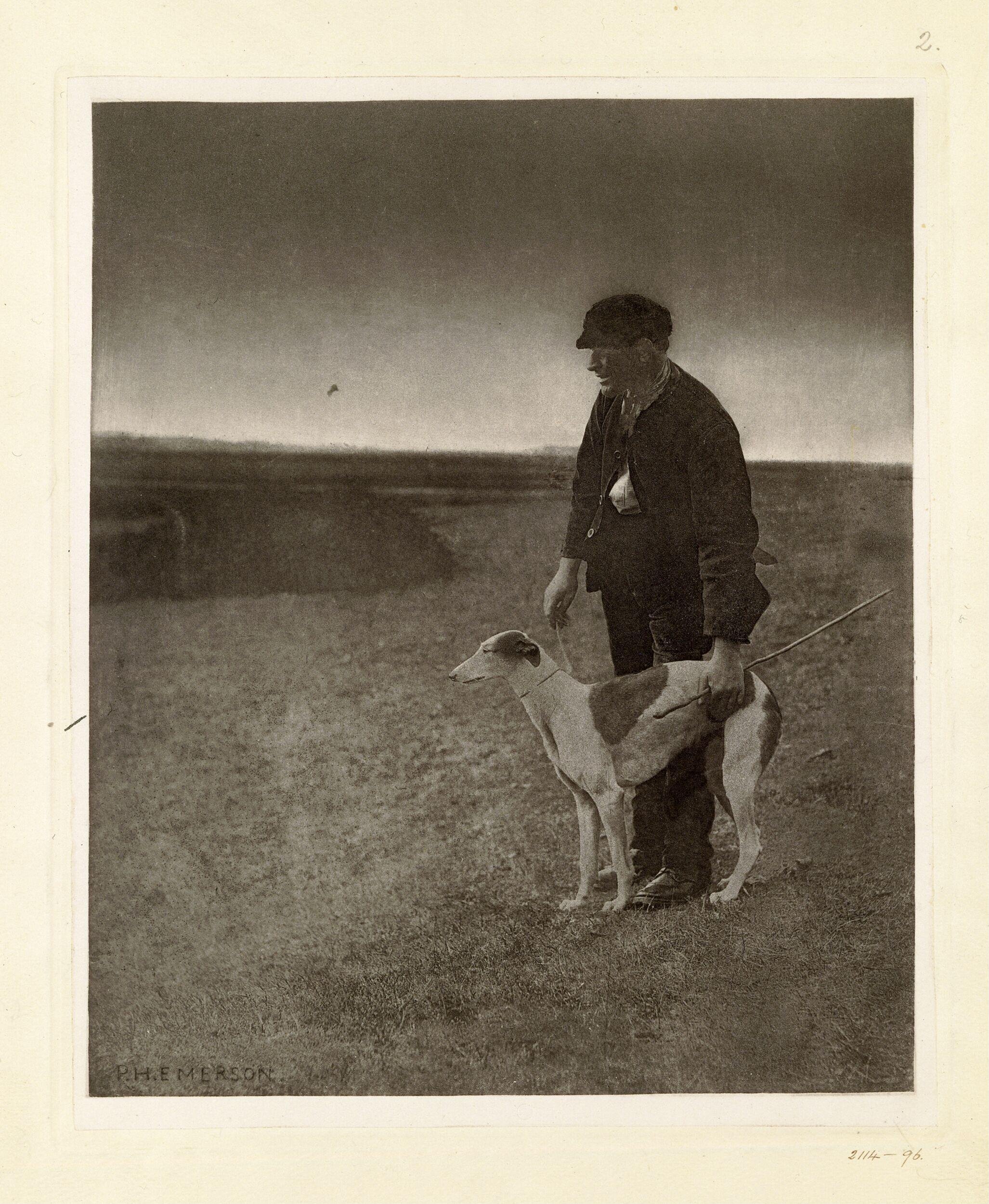 The Poacher