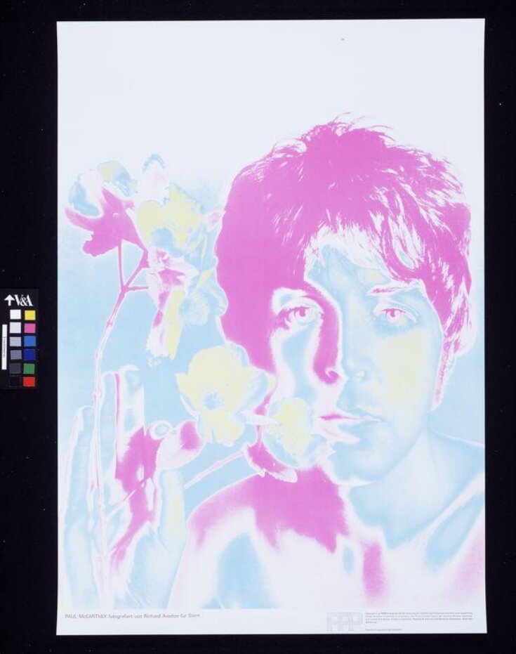 Paul McCartney top image