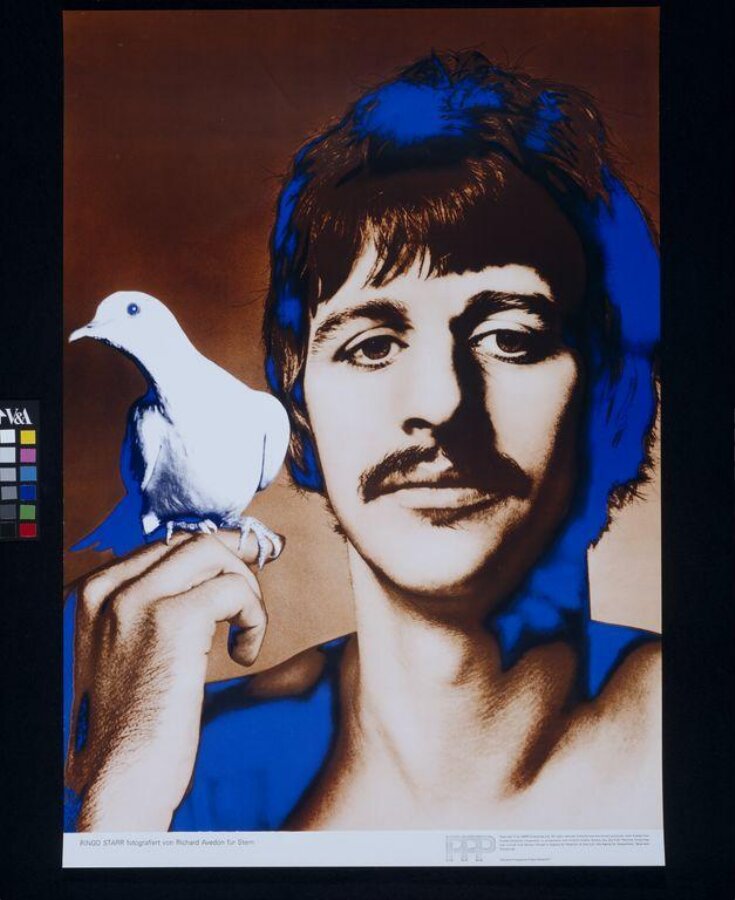 Ringo Starr top image
