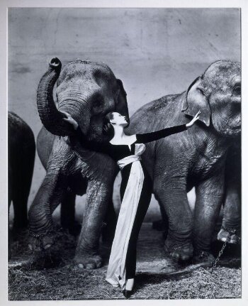 suzy parker evening dress by dior paris studio Richard Avedon's 1956 photo of Suzy Parker in Dior