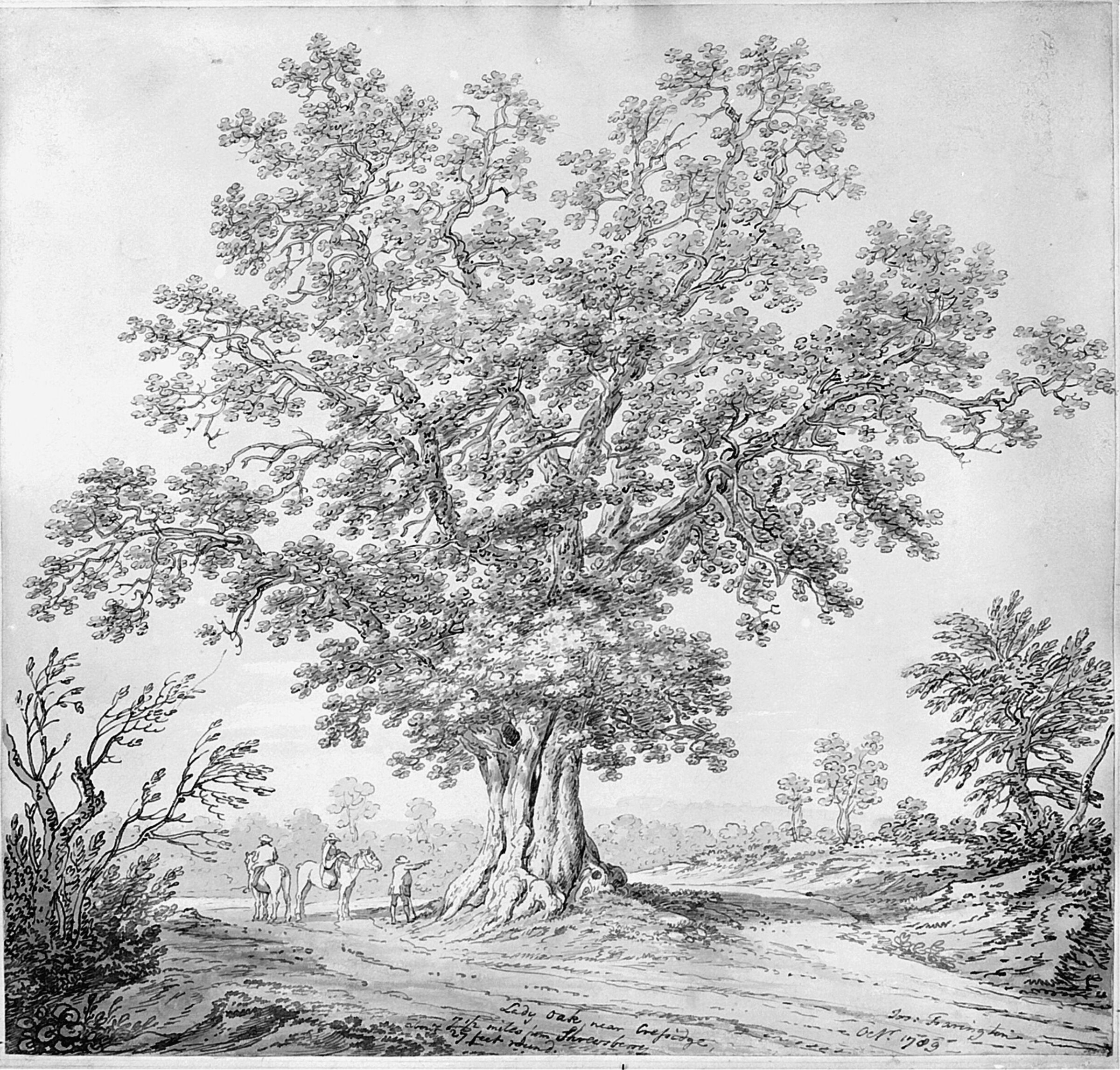 Lady Oak, near Cressidge, Джозеф Фарингтон, 1789