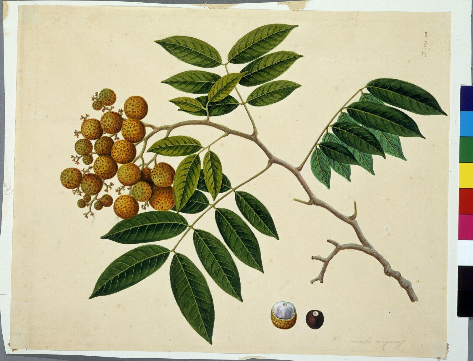 Long-an, 1822-1840