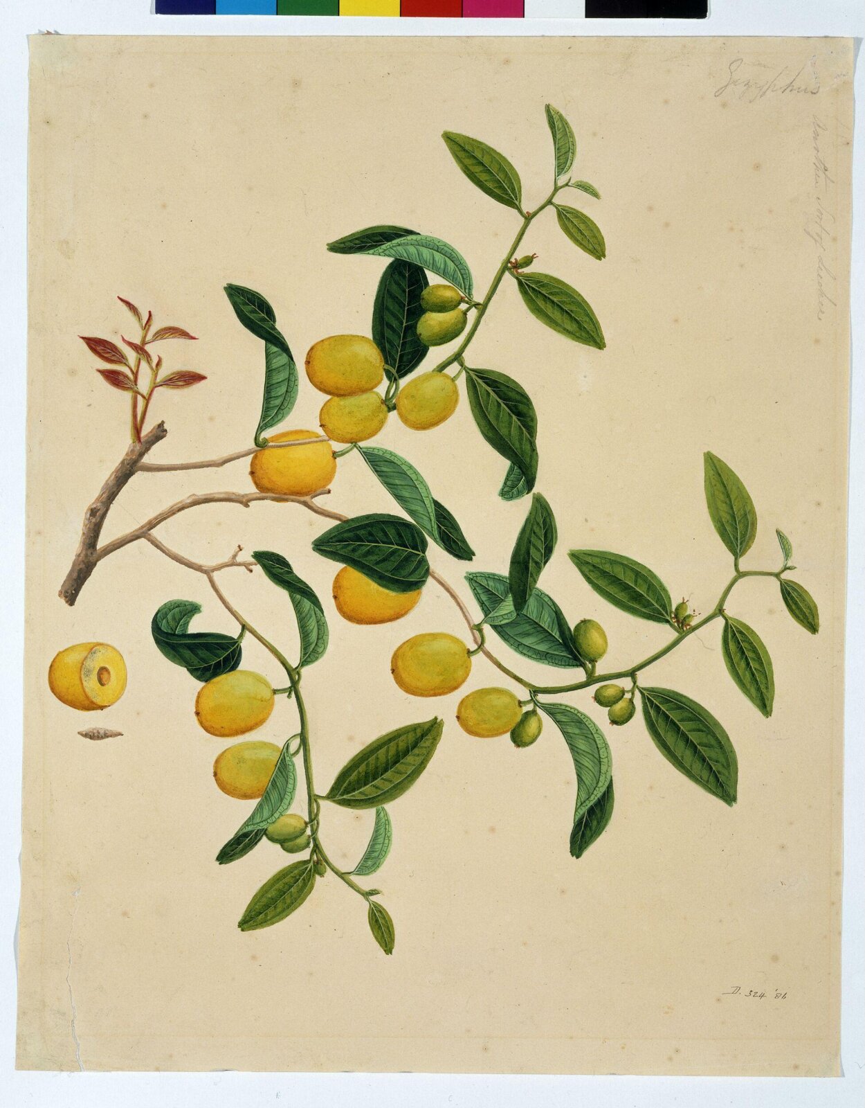 Chinese dates, 1822-1840