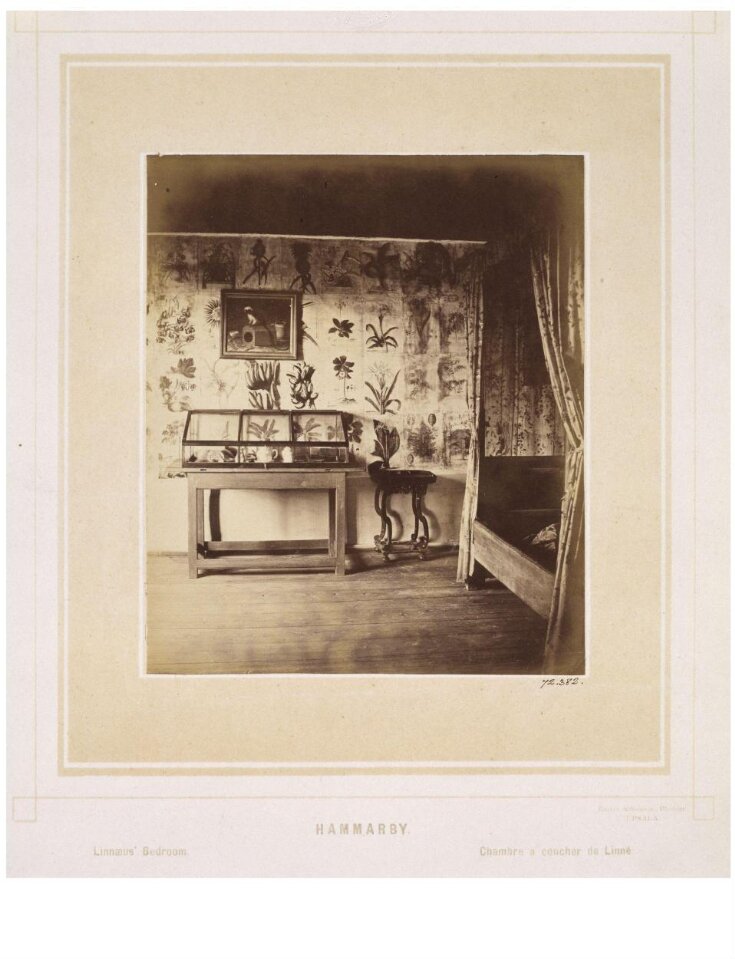 The Bedroom of Linnaeus top image