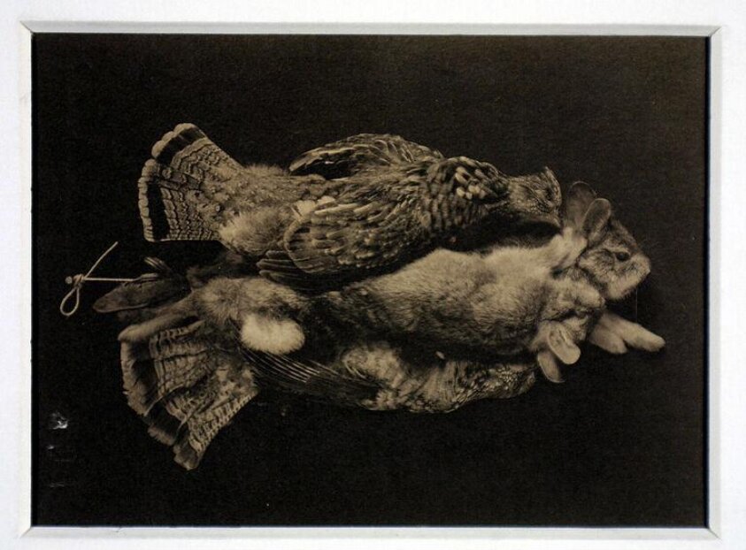 Still life
