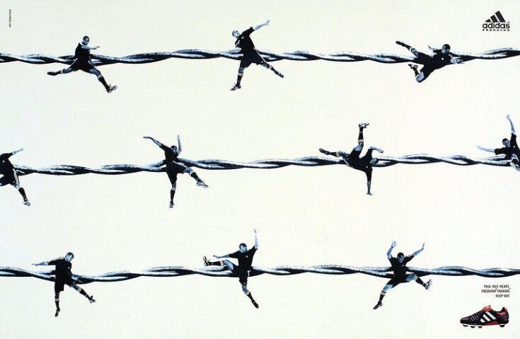Barbed wire image