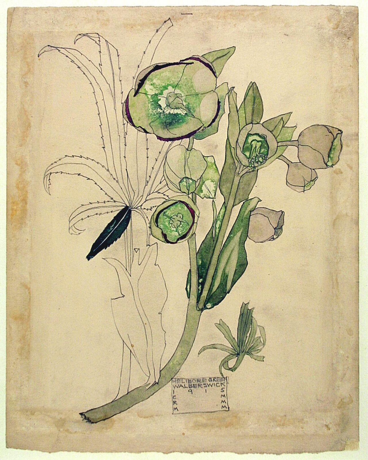 Drawing, Charles Rennie Mackintosh, 1915