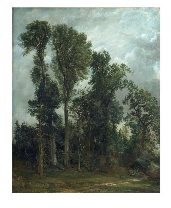 Trees at Hampstead: The Path to Church