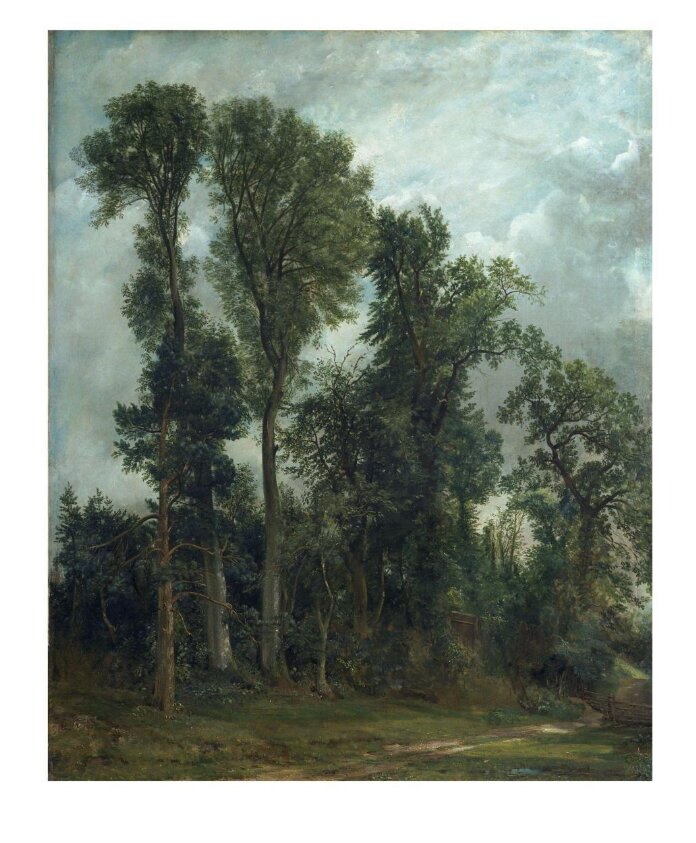 Trees at Hampstead: The Path to Church