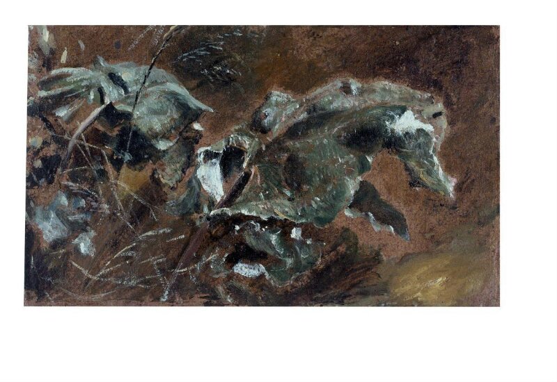 Study of Foliage