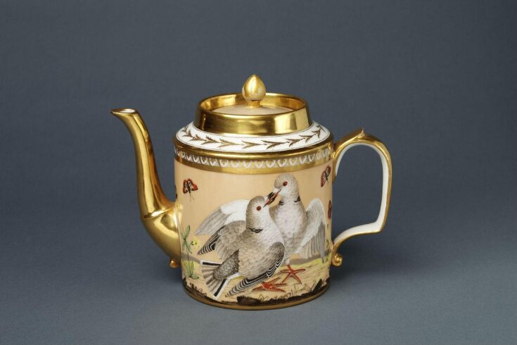 Teapot and Cover top image