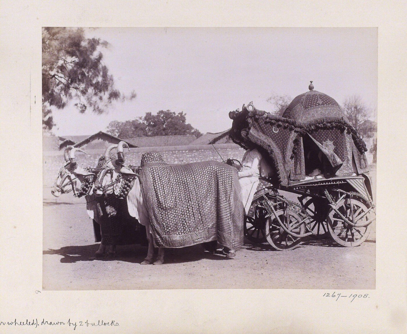 Unknown, Photograph