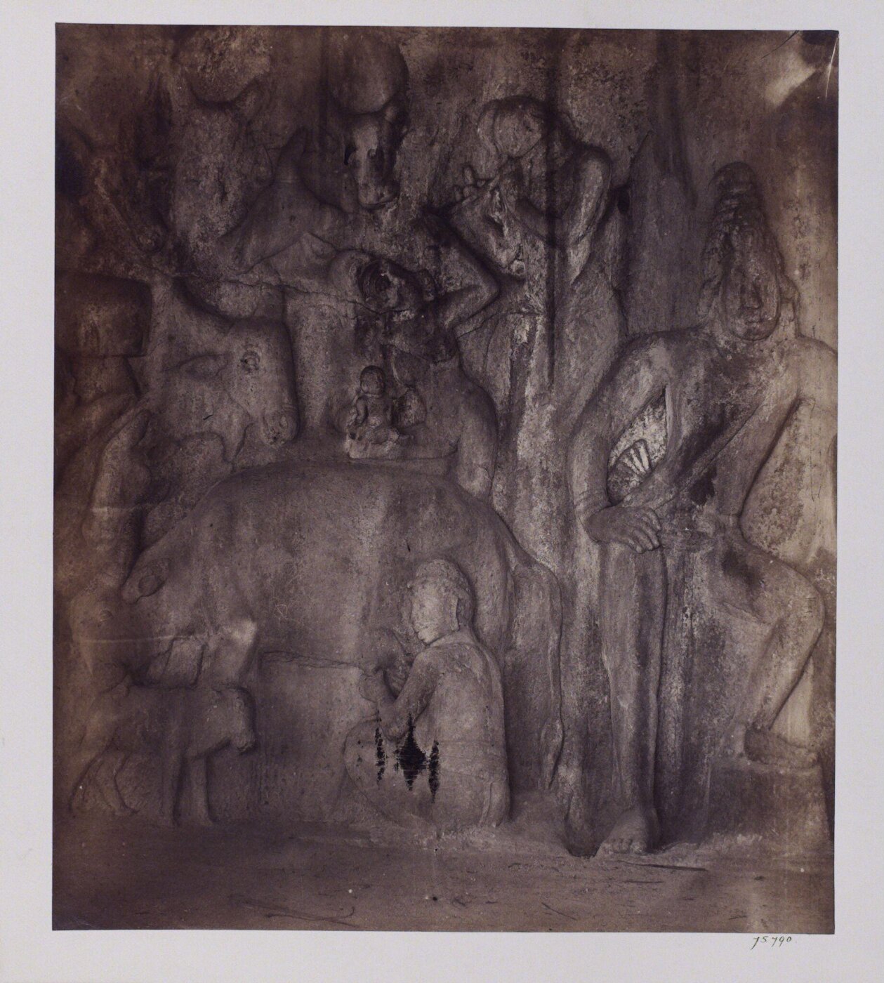 Unknown, Photograph