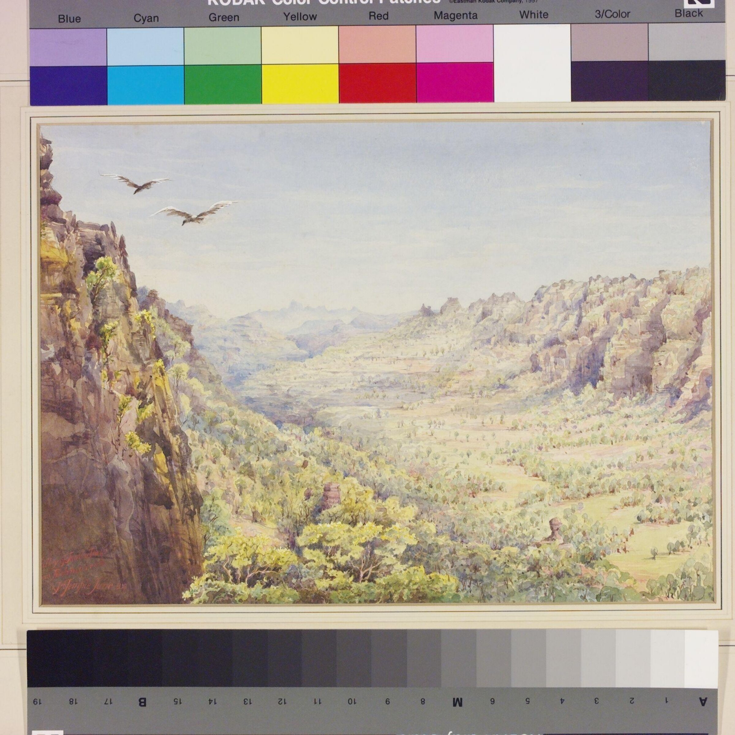 Valley of Jumbo Dwip near Puchmurree, John Alexander Temple, 06/1884