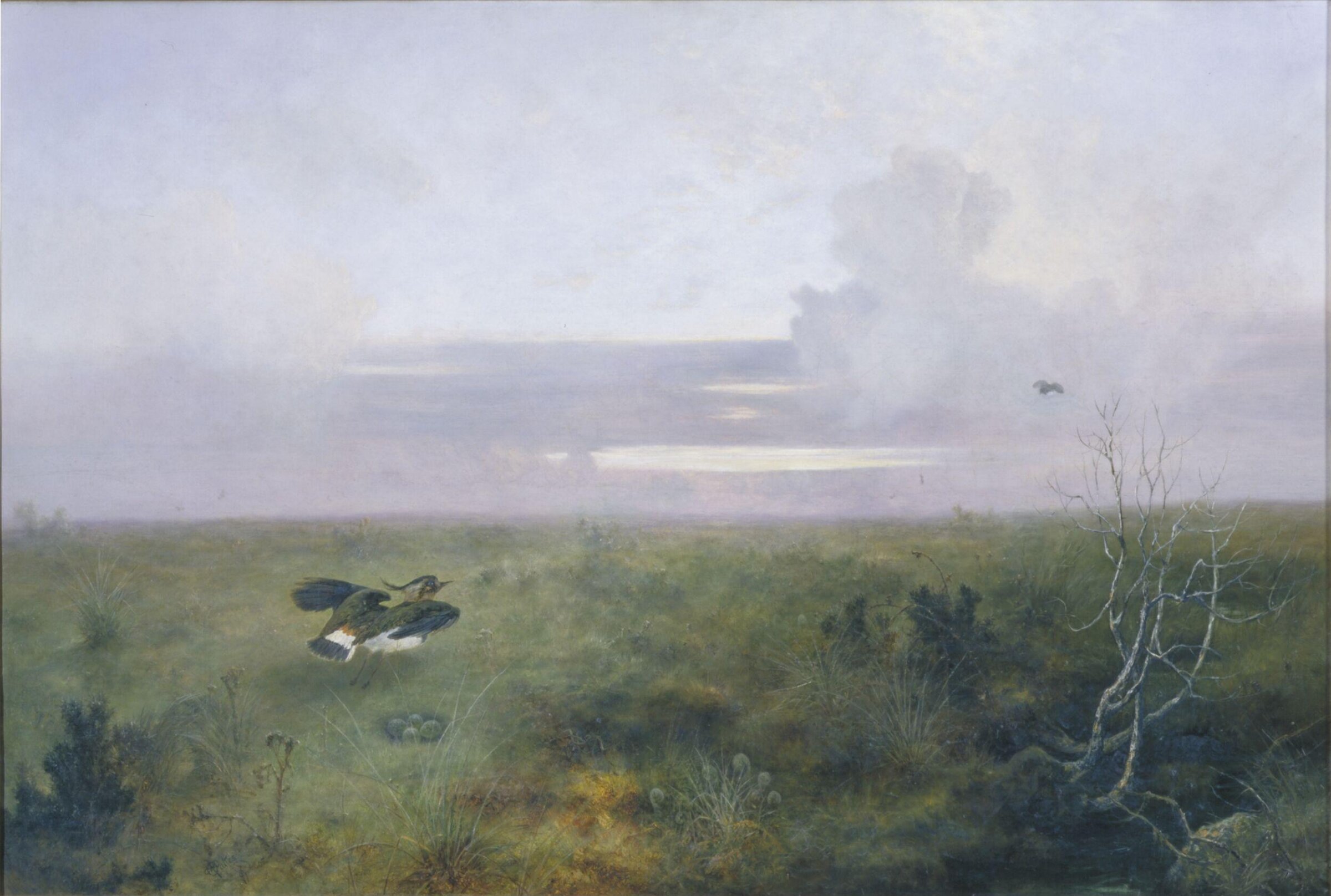 Disturbed: A Plover Rising from Its Nest, John Wright Oakes, 1879