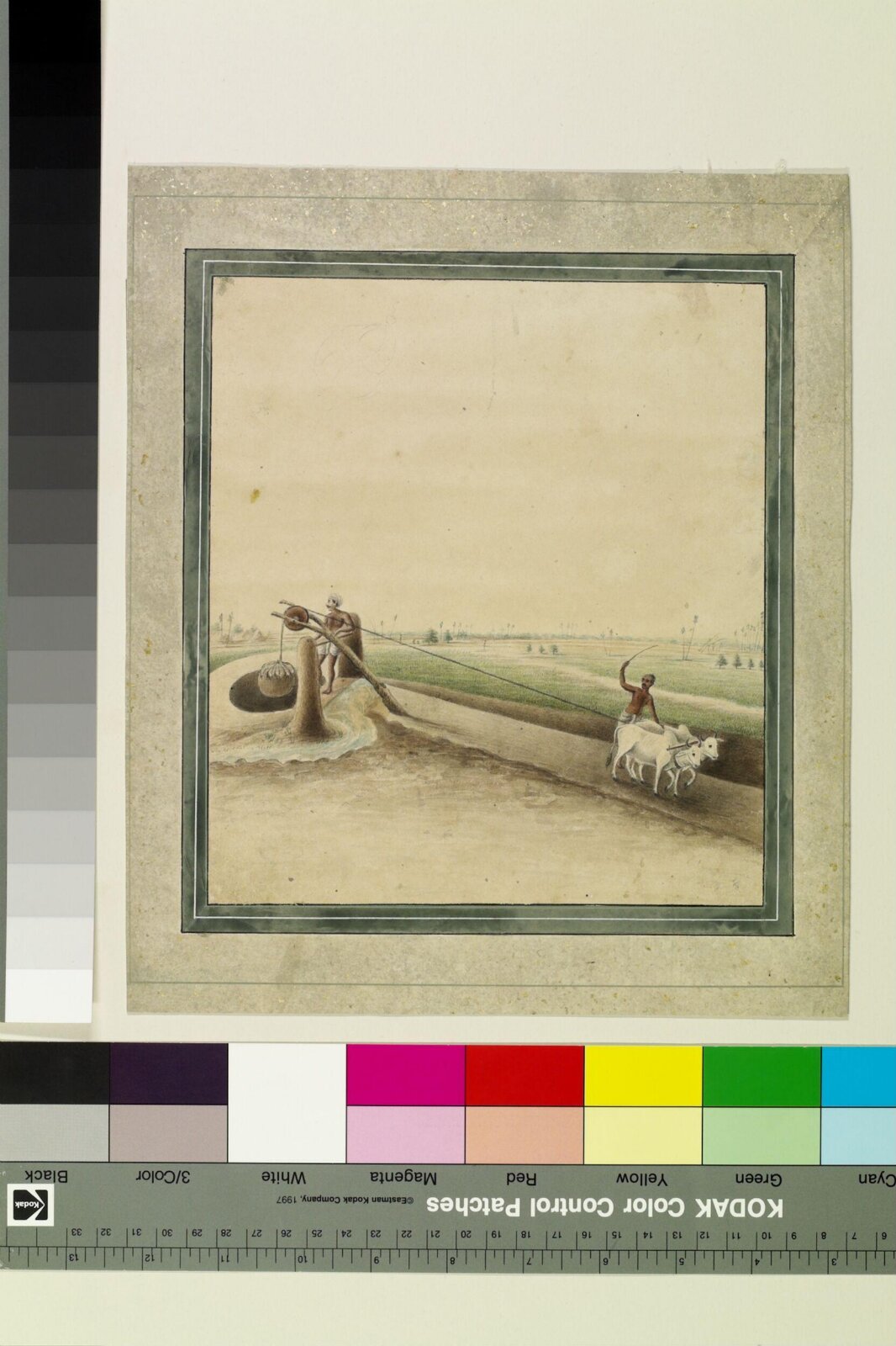 Oxen drawing water, Sewak Ram, ca. 1805