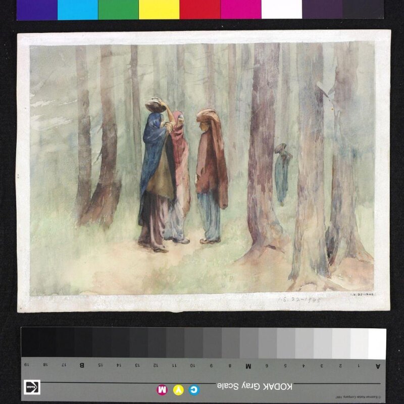 Gujar women in the Pir Panjal forest, Kashmir