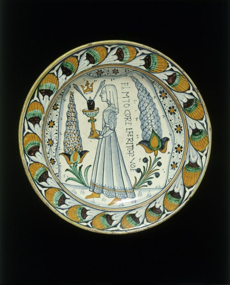 Dish top image