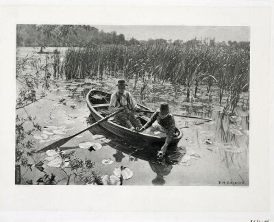 Gathering Water-Lilies