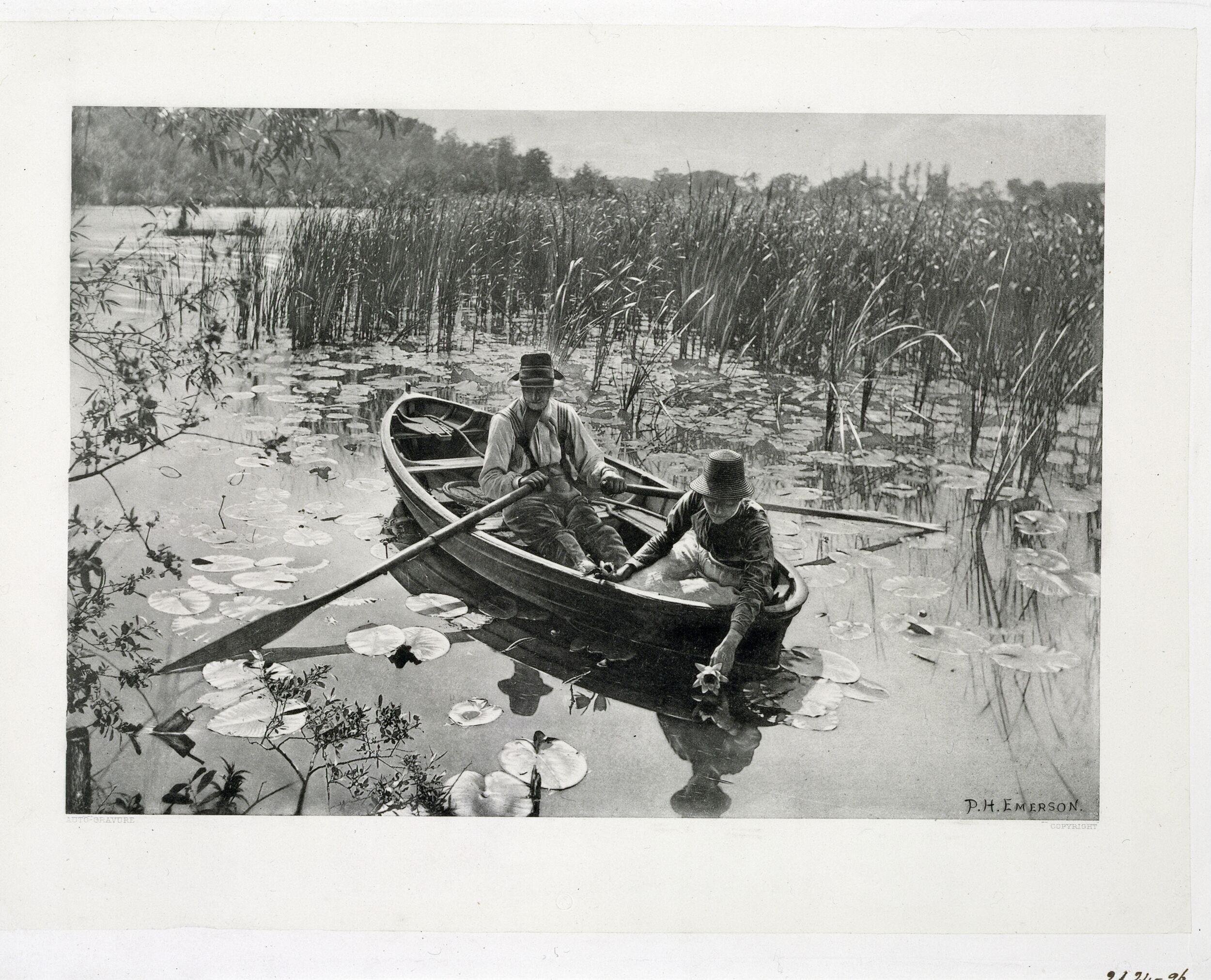 Gathering Water-Lilies