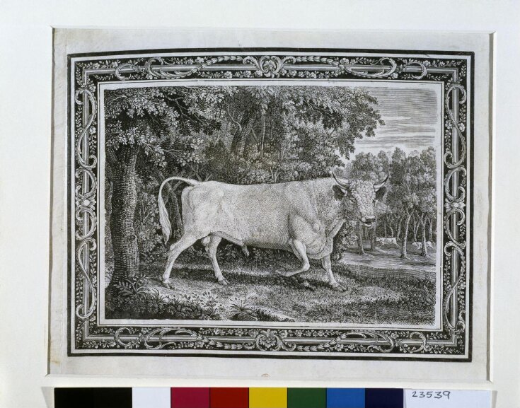 The Chillingham Bull top image