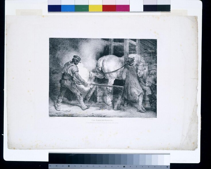 The Flemish Farrier top image