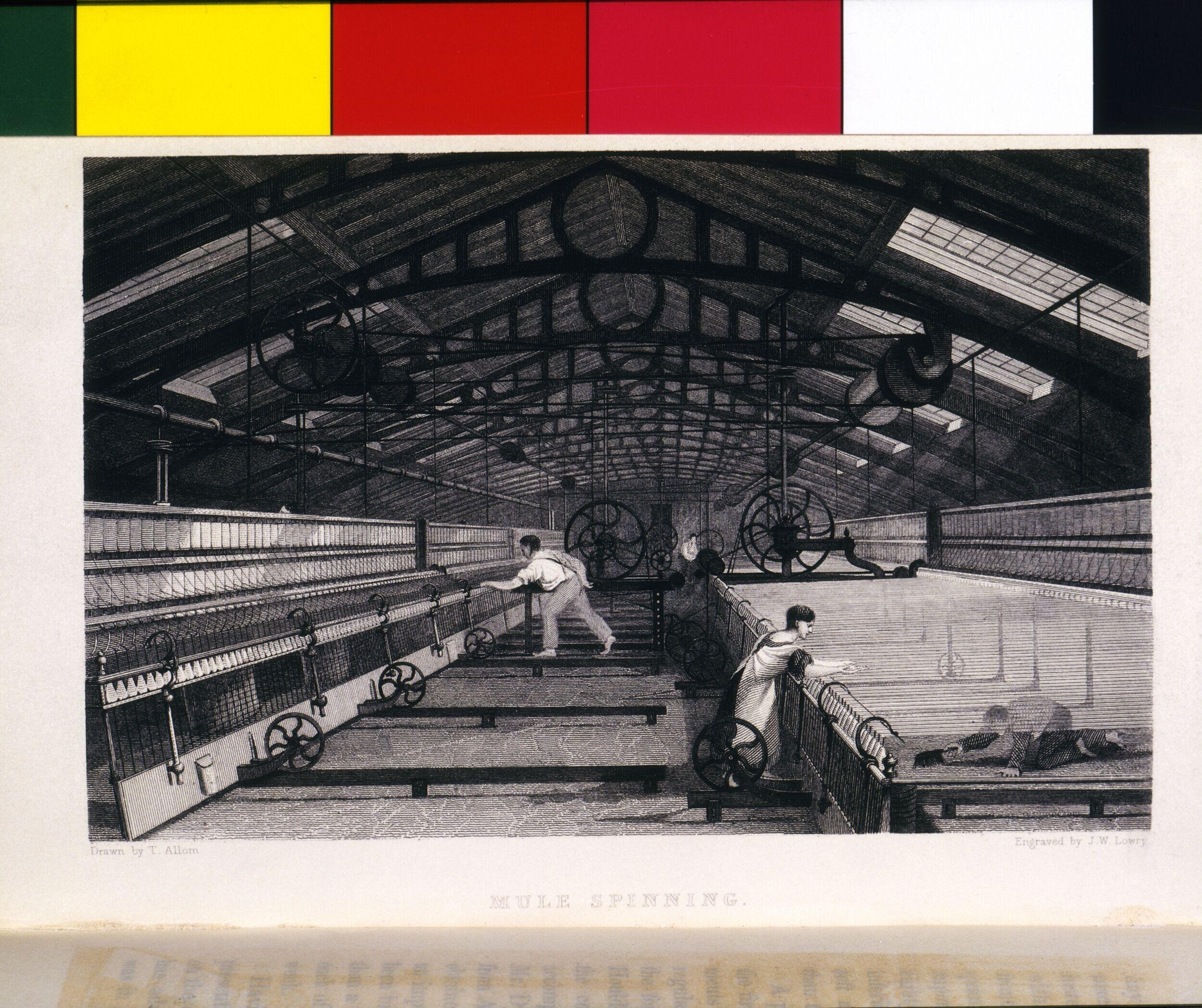 History of the cotton manufacture in Great Britain